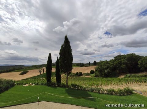 San Gimignano, wine and food - Il Colombaio di Santachiara, panorama
